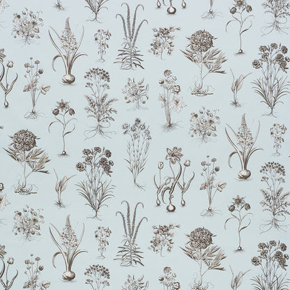 Brown botanical illustrations of assorted flowers and plants on a pale blue background.