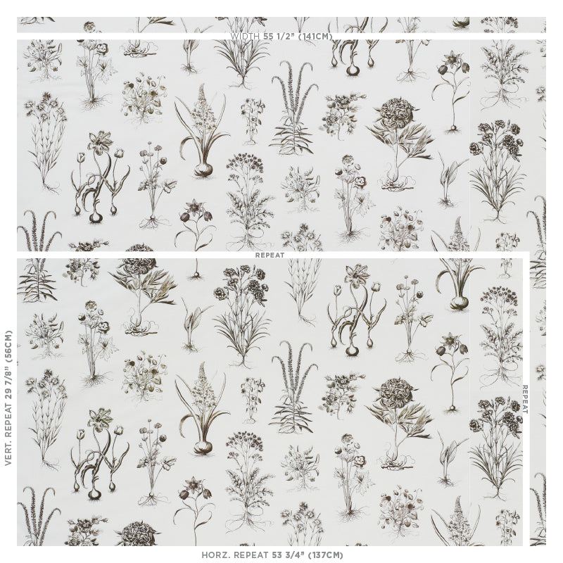 SCHUMACHER  SCHUMACHER CLASSICS CABOT BOTANICAL PRINTS PRINTS IVORY   - 178751