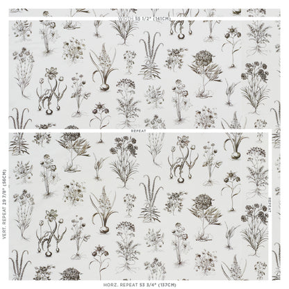 SCHUMACHER  SCHUMACHER CLASSICS CABOT BOTANICAL PRINTS PRINTS IVORY   - 178751