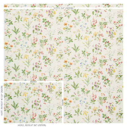 SCHUMACHER FABRIC  SCHUMACHER FABRIC CLASSICS FLOREANA   BERRY   - 178791