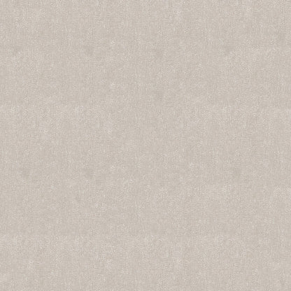 Beige velvet fabric texture with soft nap, neutral backdrop.
