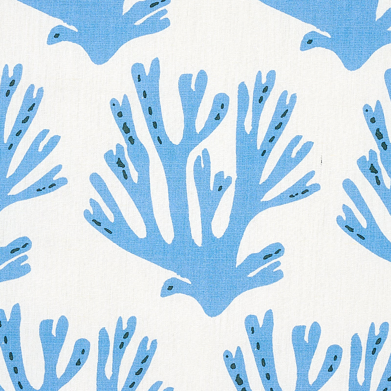 SCHUMACHER  MOLLY MAHON CORAL PRINTS PRINTS BLUE   - 179100