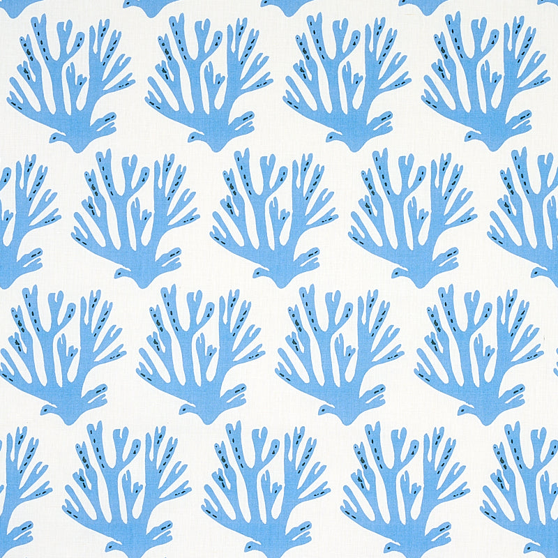SCHUMACHER  MOLLY MAHON CORAL PRINTS PRINTS BLUE   - 179100