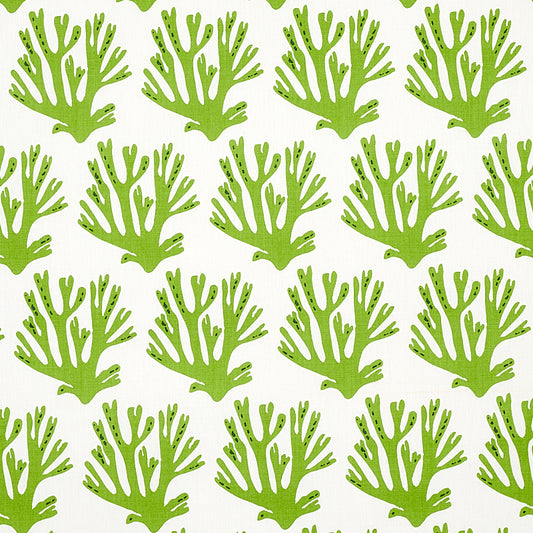 SCHUMACHER  MOLLY MAHON CORAL PRINTS PRINTS GREEN   - 179101