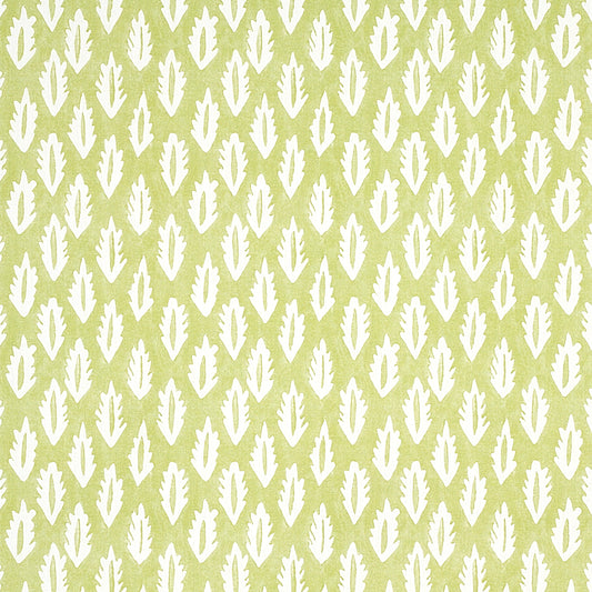 SCHUMACHER  MOLLY MAHON FOREST PRINTS PRINTS GRASS GREEN   - 179120