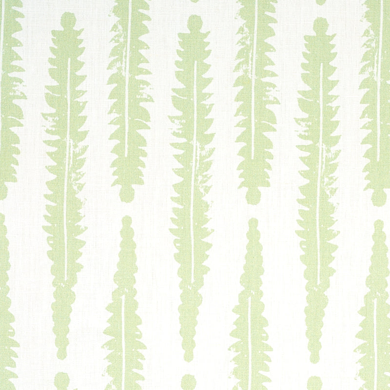 SCHUMACHER  MOLLY MAHON FERN PRINTS PRINTS SAGE   - 179151