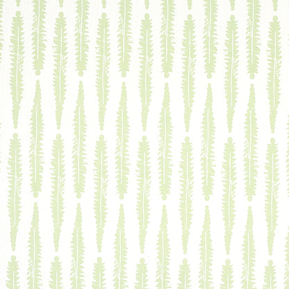 SCHUMACHER  MOLLY MAHON FERN PRINTS PRINTS SAGE   - 179151