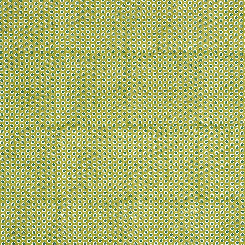 SCHUMACHER  MOLLY MAHON TUK TUK HAND BLOCK PRINT PRINTS PRINTS GREEN   - 179223