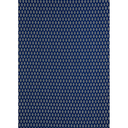 SCHUMACHER  MOLLY MAHON DASH HAND BLOCK PRINT PRINTS PRINTS INDIGO   - 179250