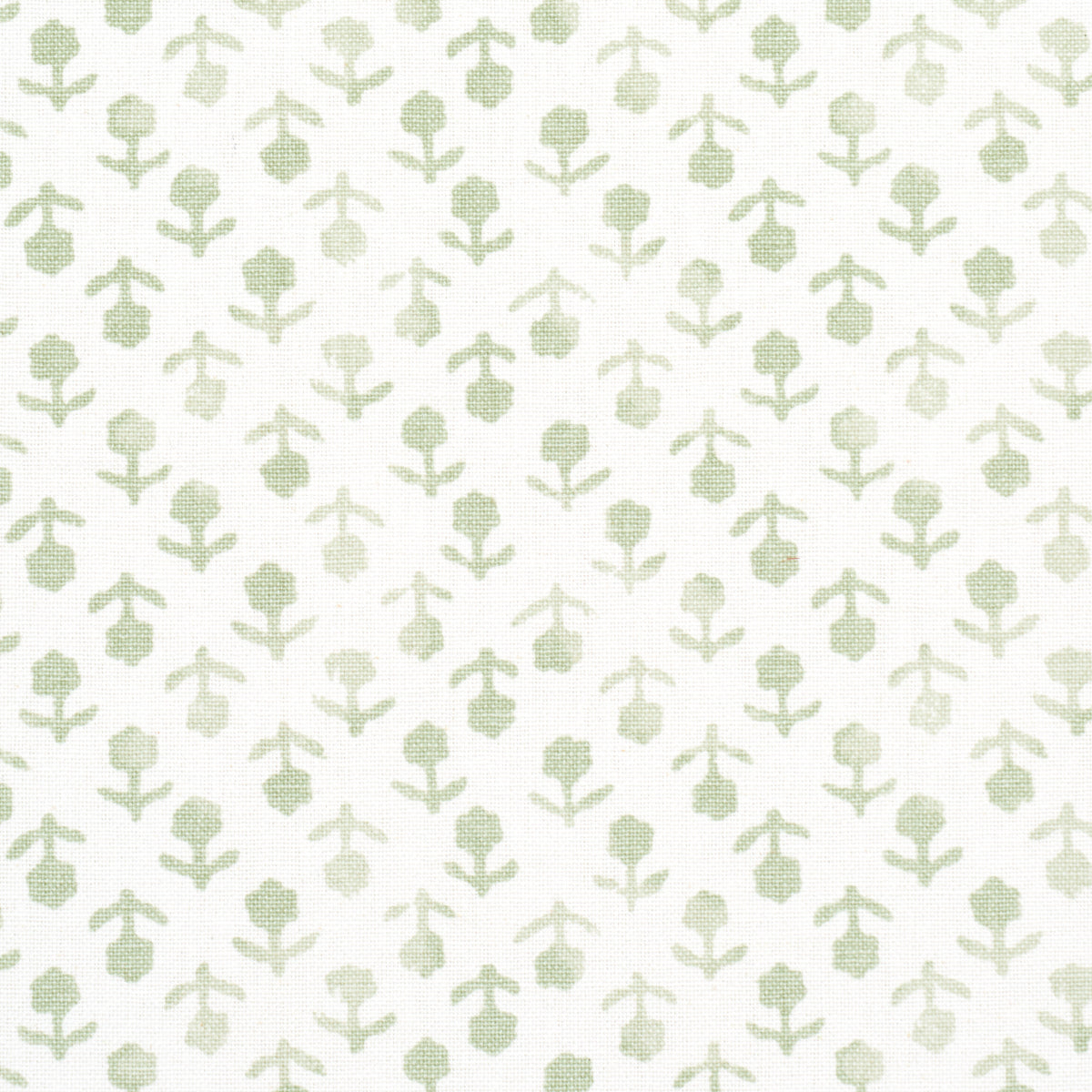 SCHUMACHER  JACARANDA BEATRIZ HANDPRINT PRINTS PRINTS SAGE   - 179354