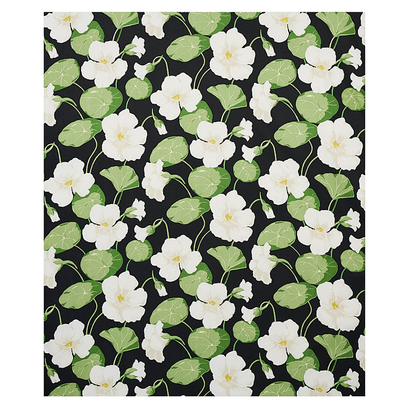 SCHUMACHER  SIGNATURE SCHUMACHER NASTURTIUM   Noir   - 179490