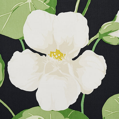 SCHUMACHER  SIGNATURE SCHUMACHER NASTURTIUM   Noir   - 179490