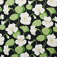 SCHUMACHER  SIGNATURE SCHUMACHER NASTURTIUM   Noir   - 179490
