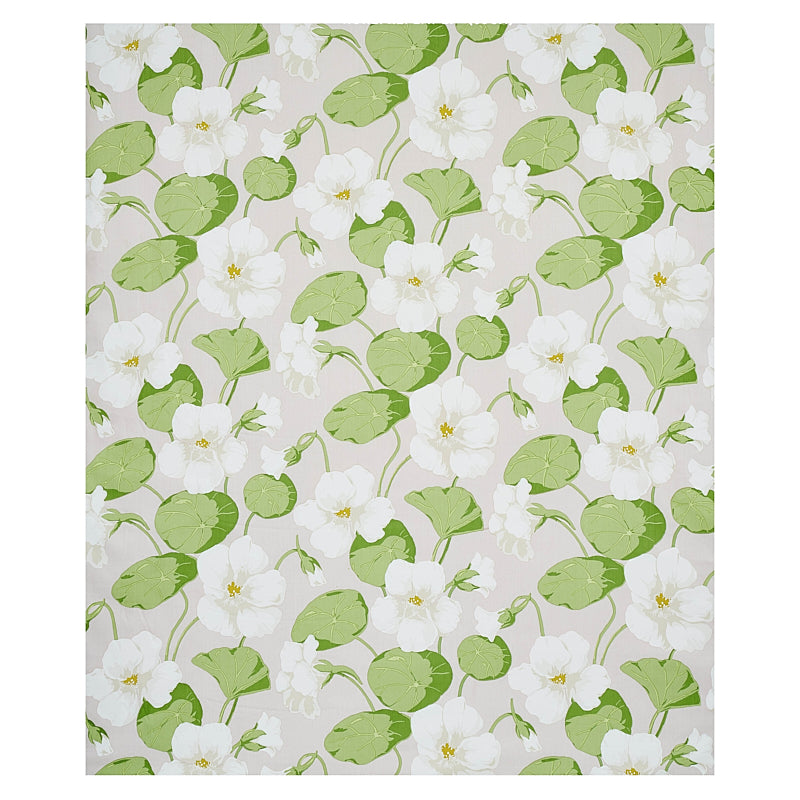 SCHUMACHER  SIGNATURE SCHUMACHER NASTURTIUM PRINTS PRINTS SKY   - 179491