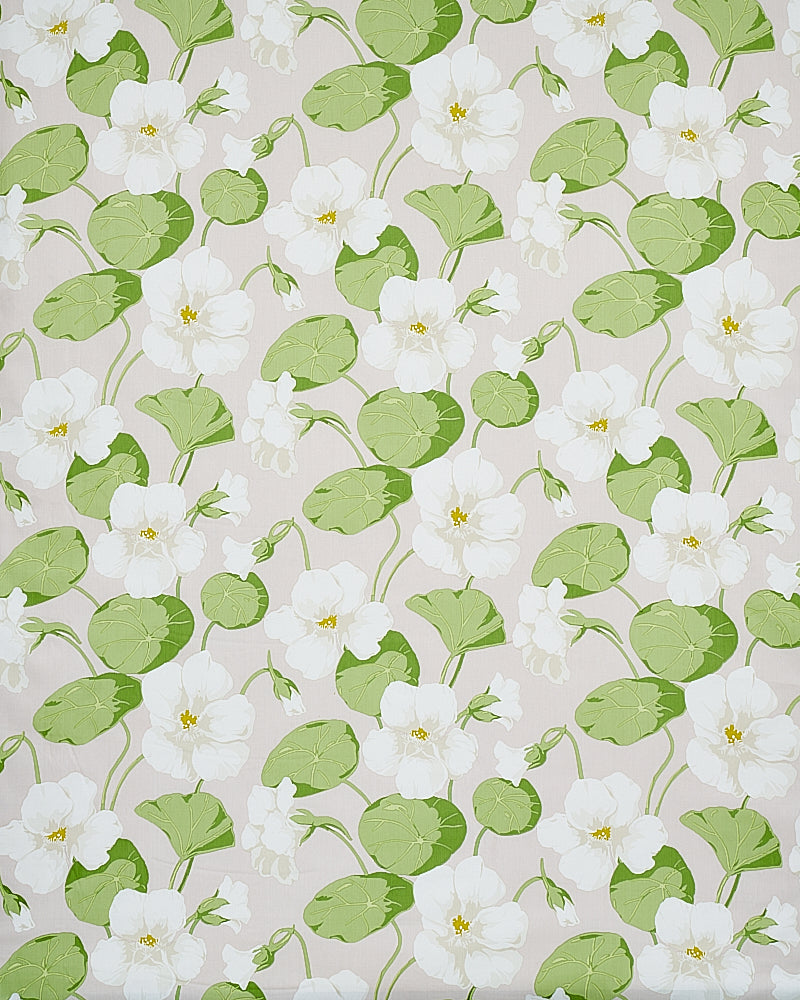 SCHUMACHER  SIGNATURE SCHUMACHER NASTURTIUM   Stone   - 179492