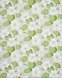 SCHUMACHER  SIGNATURE SCHUMACHER NASTURTIUM   Stone   - 179492