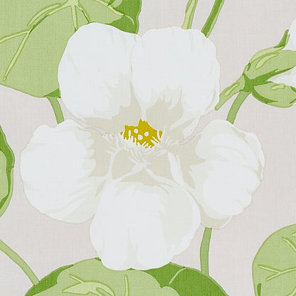 SCHUMACHER  SIGNATURE SCHUMACHER NASTURTIUM   Stone   - 179492