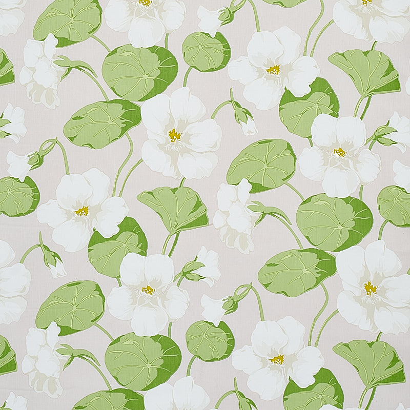 SCHUMACHER  SIGNATURE SCHUMACHER NASTURTIUM   Stone   - 179492