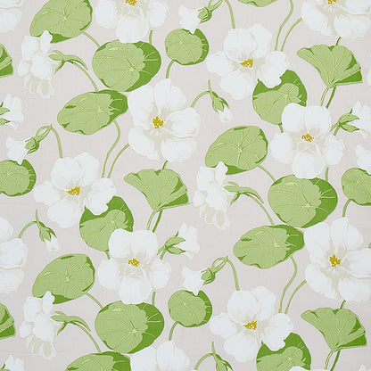 SCHUMACHER  SIGNATURE SCHUMACHER NASTURTIUM   Stone   - 179492