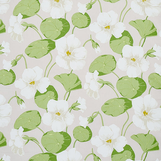 SCHUMACHER  SIGNATURE SCHUMACHER NASTURTIUM   Stone   - 179492