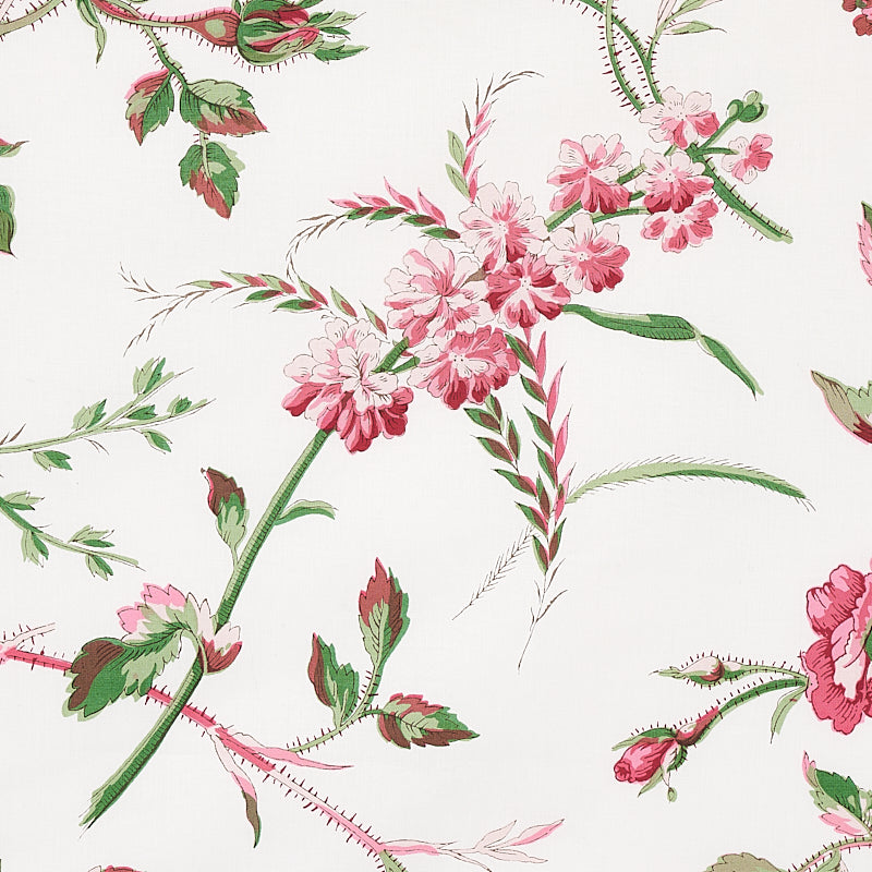 SCHUMACHER  SCHUMACHER CLASSICS BELUZE PRINTS PRINTS MAGENTA   - 179622