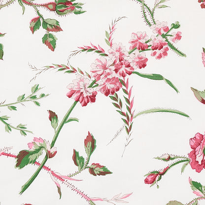 SCHUMACHER  SCHUMACHER CLASSICS BELUZE PRINTS PRINTS MAGENTA   - 179622