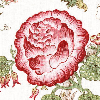 SCHUMACHER  SCHUMACHER CLASSICS JOSEPHINE PRINTS PRINTS PINK   - 179651