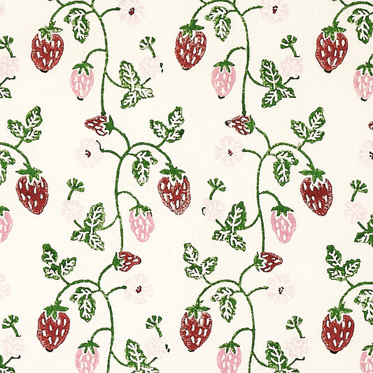 SCHUMACHER  MOLLY MAHON STRAWBERRY HAND BLOCK PRINT PRINTS PRINTS GRASS   - 179780