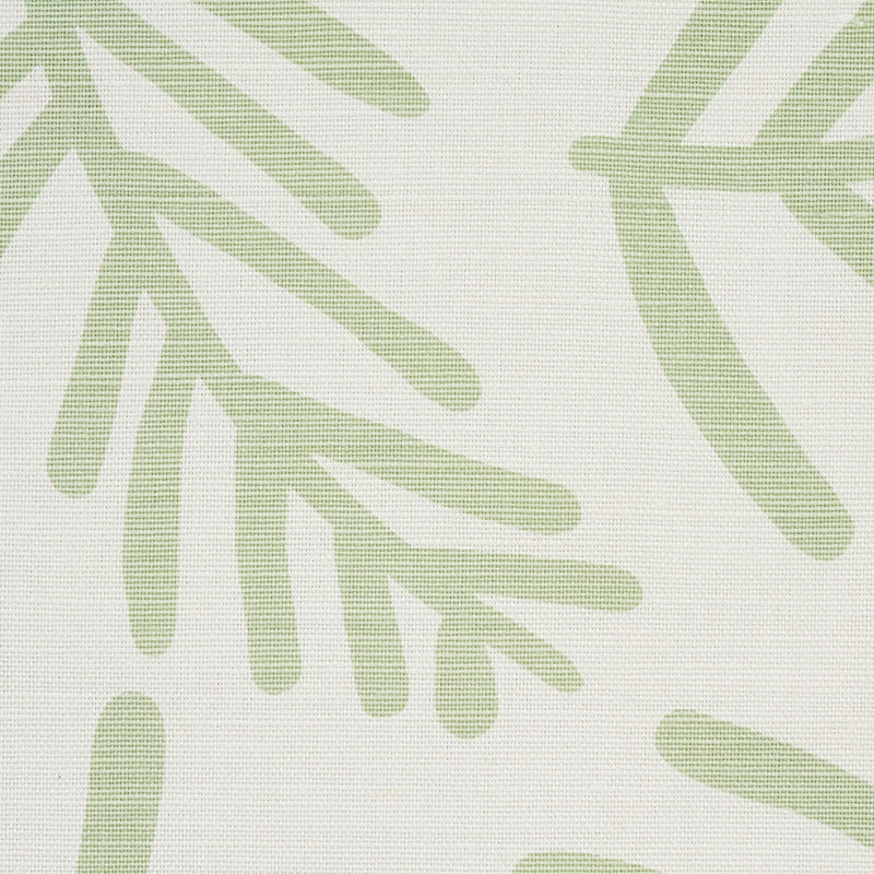 SCHUMACHER  CAROLINE Z HURLEY TIAH COVE   Sage Leaf   - 179910