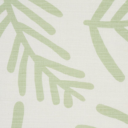 SCHUMACHER  CAROLINE Z HURLEY TIAH COVE   Sage Leaf   - 179910