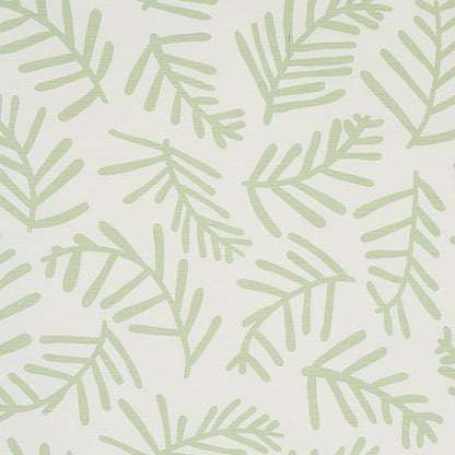 SCHUMACHER  CAROLINE Z HURLEY TIAH COVE   Sage Leaf   - 179910