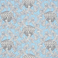 SCHUMACHER  MYSTIQUE SANTAREM   Sky   - 179941