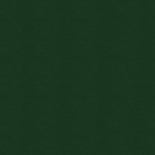 NICHOLASJOHN INC NJ-BURK Green Solid   Fabric - NJ25-425