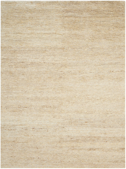 Beige textured woven rug with subtle horizontal stripes & natural-fiber look; rectangular 4' x 6' for living spaces.