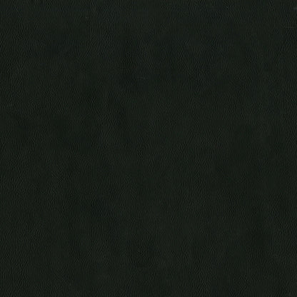 NICHOLASJOHN INC NJ-SENTRY Raven Solid,Texture   Fabric - NJ25-601