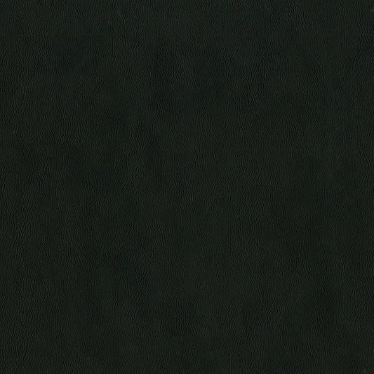 NICHOLASJOHN INC NJ-SENTRY Raven Solid,Texture   Fabric - NJ25-601