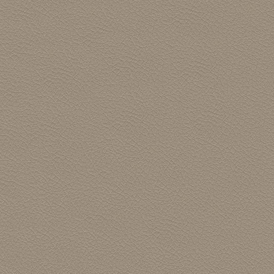 NICHOLASJOHN INC NJ-NUU Taupe Solid   Fabric - NJ25-2430