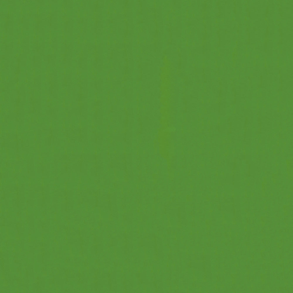 NICHOLASJOHN INC NJ-LOUIE Green Solid   Fabric - NJ25-171