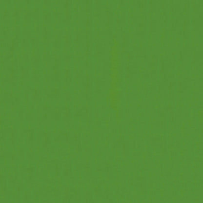 NICHOLASJOHN INC NJ-LOUIE Green Solid   Fabric - NJ25-171