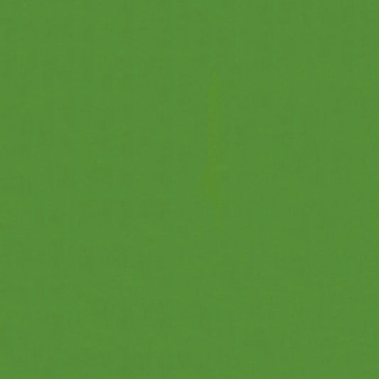 NICHOLASJOHN INC NJ-LOUIE Green Solid   Fabric - NJ25-171