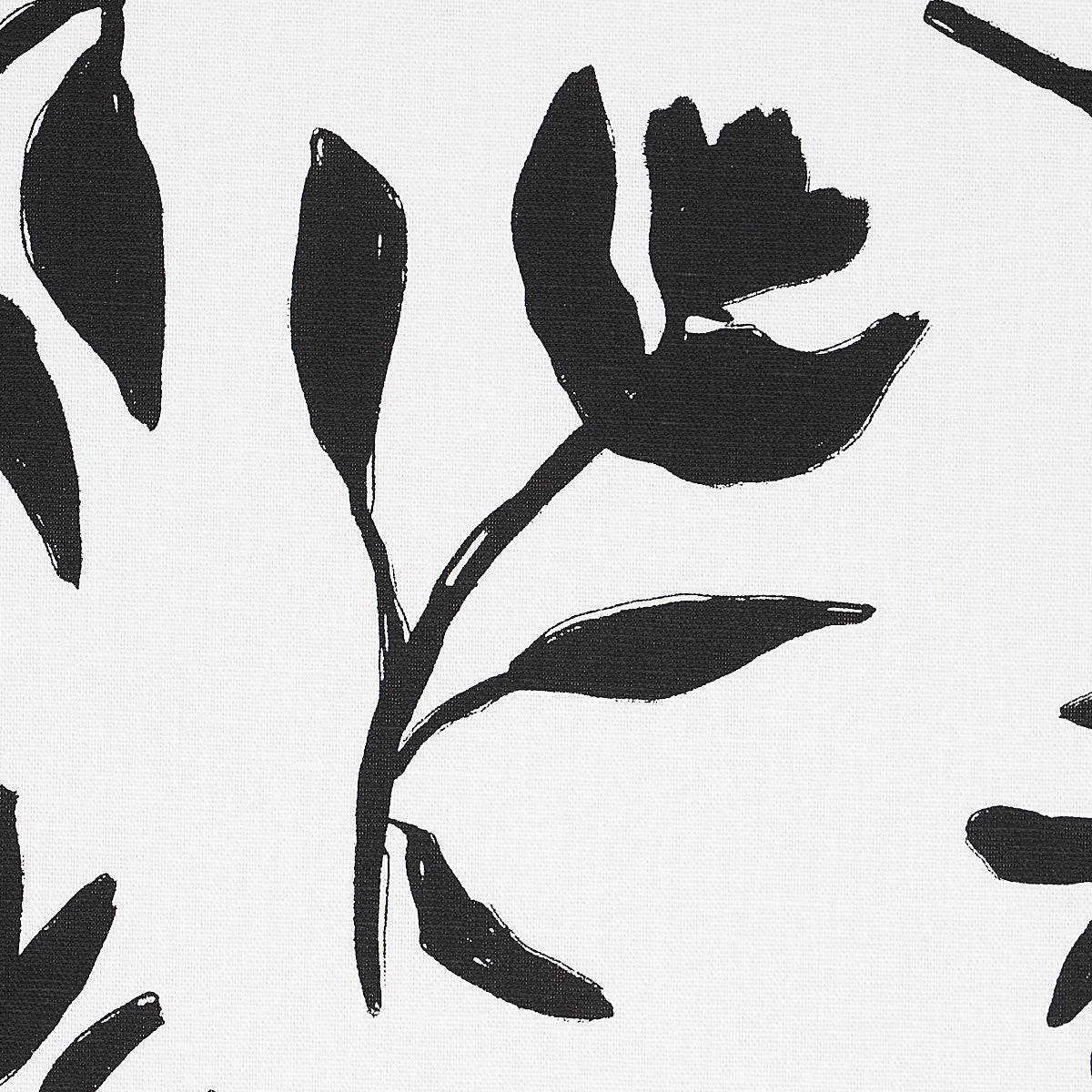 SCHUMACHER  NEW WAVE: BLACK & WHITE LAUREL   Black   - 180011