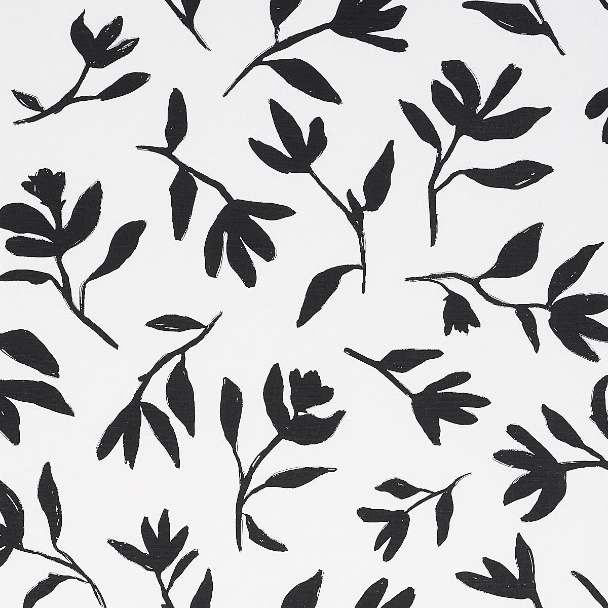 SCHUMACHER  NEW WAVE: BLACK & WHITE LAUREL   Black   - 180011