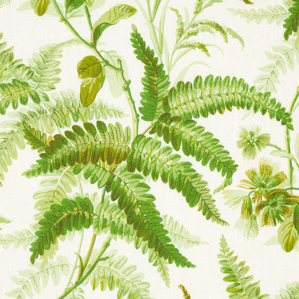 SCHUMACHER  SCHUMACHER CLASSICS MYERS FERN LINEN PRINTS PRINTS TROPICAL   - 180100