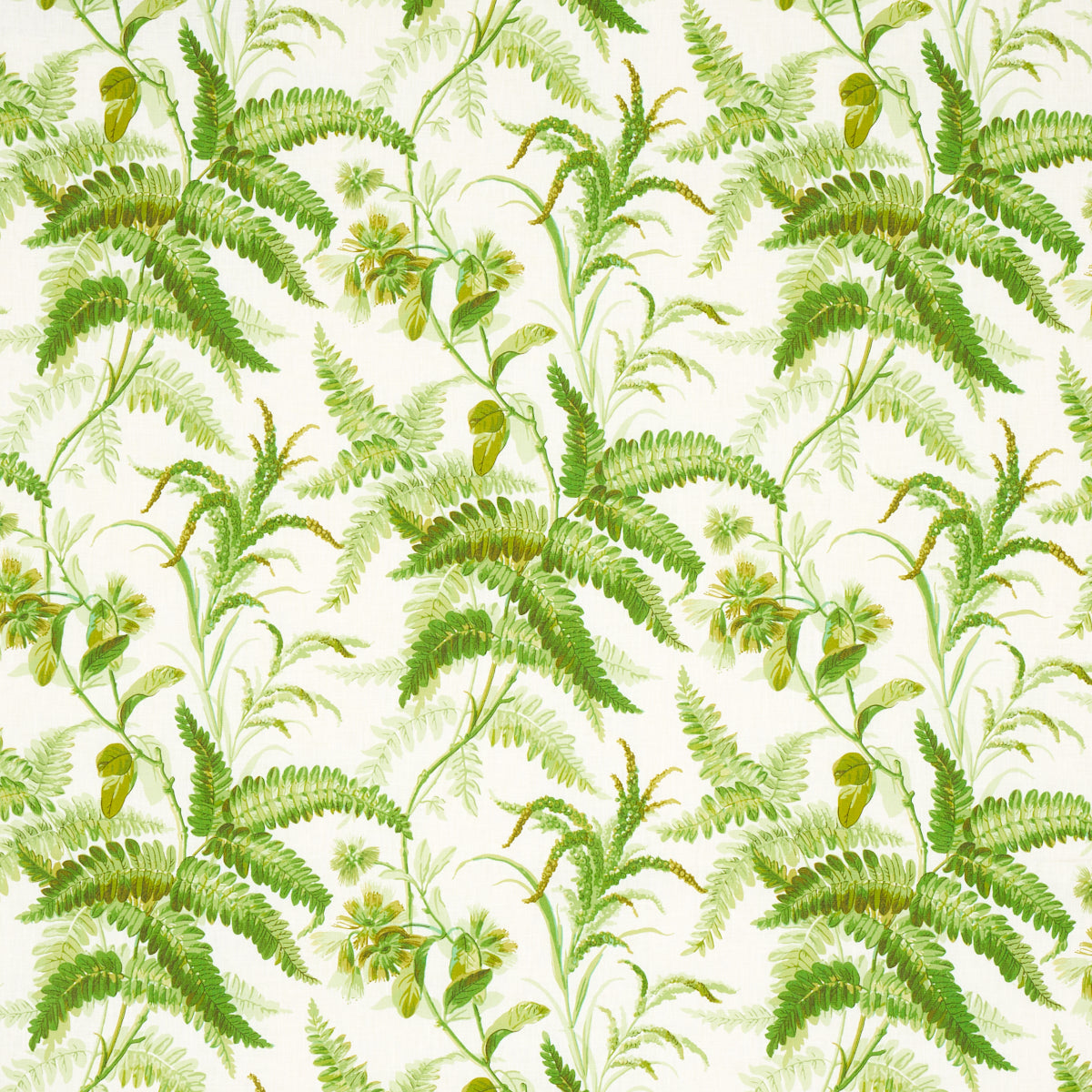 SCHUMACHER  SCHUMACHER CLASSICS MYERS FERN LINEN PRINTS PRINTS TROPICAL   - 180100