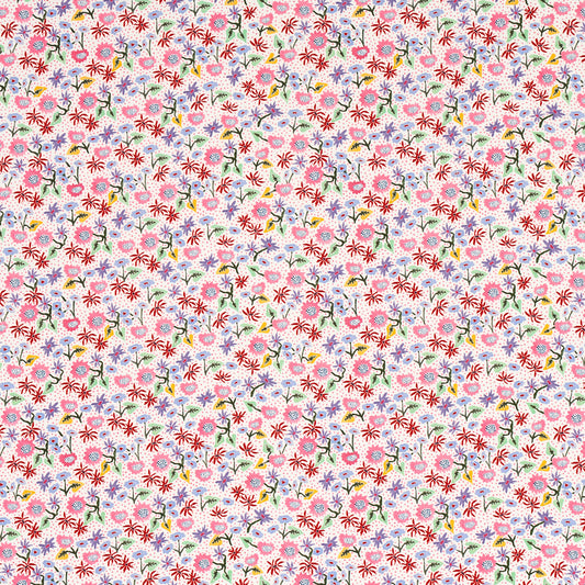 SCHUMACHER  HAPPY MENOCAL CALICO PRINTS PRINTS SPREZZATURA   - 180170