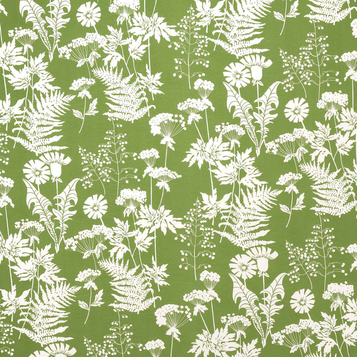 SCHUMACHER  INDOOR/OUTDOOR PRINTS SPRING FLORAL INDOOR/OUTDOOR   Green   - 180221
