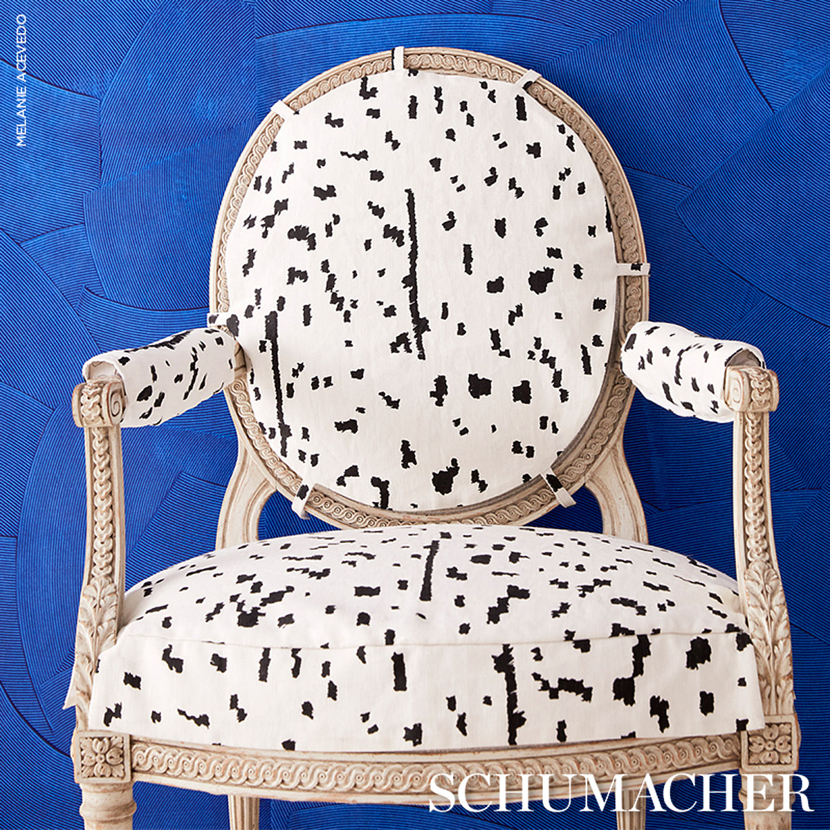 SCHUMACHER  NEW WAVE: BLACK & WHITE BESPOTTED   Black   - 180311