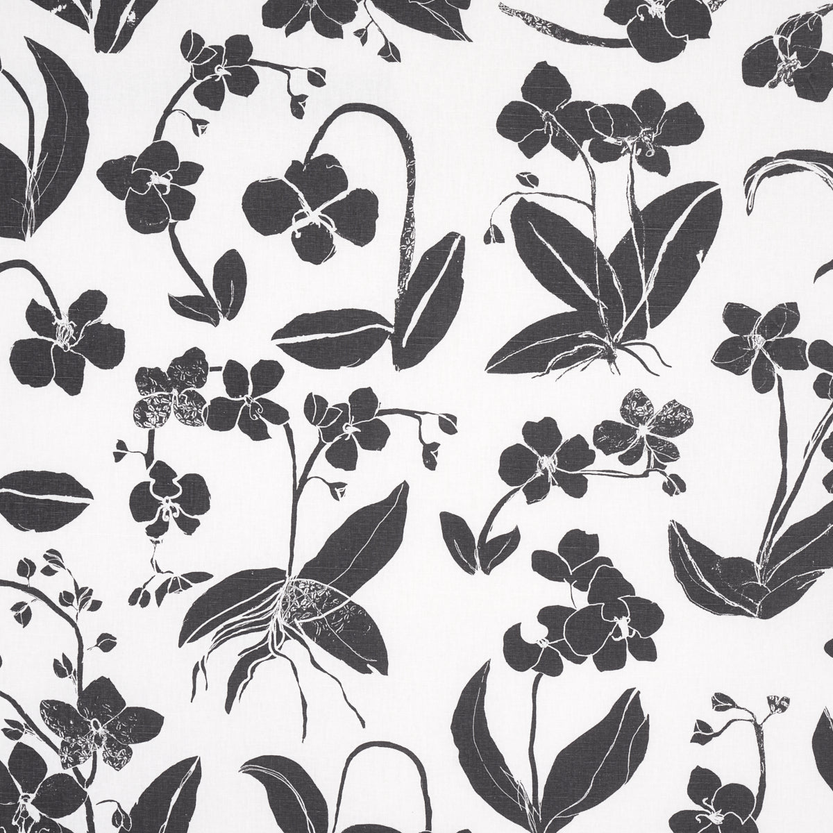 SCHUMACHER  HERA FORD ORCHIDS HAVE DREAMS   Soft Black   - 180510