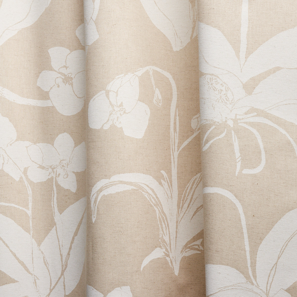 SCHUMACHER  HERA FORD ORCHIDS HAVE DREAMS   Light Neutral   - 180511
