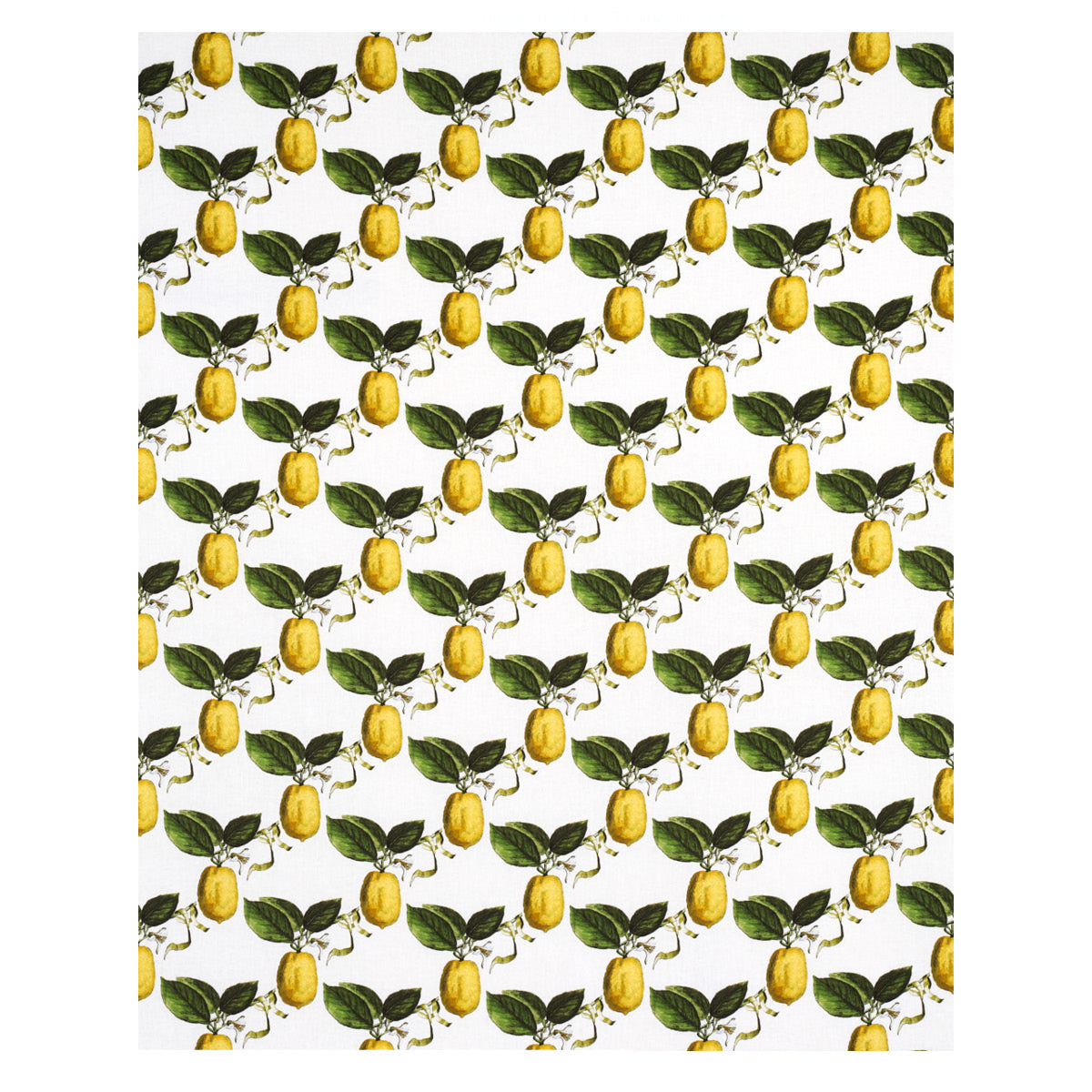 SCHUMACHER  JOHNSON HARTIG LE CITRON PRINTS PRINTS IVORY   - 180630